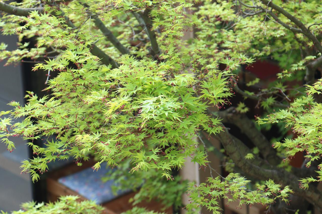 Okaya Ryokan Okitsu Exterior photo